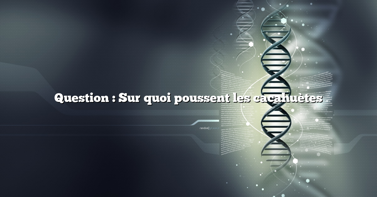 Question : Sur quoi poussent les cacahuètes